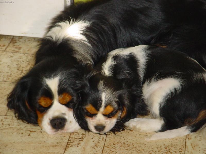 Foto: Otec a dcera-Rodinná idylka