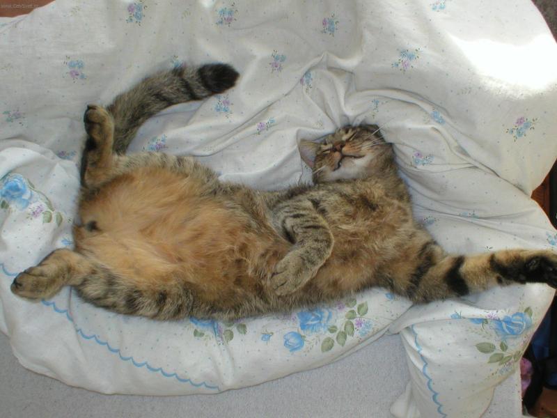 Foto: Matýno-Přece se nerozvalím ve svém...