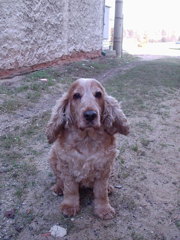 Foto: "Beruška"-Beťulka ve větru