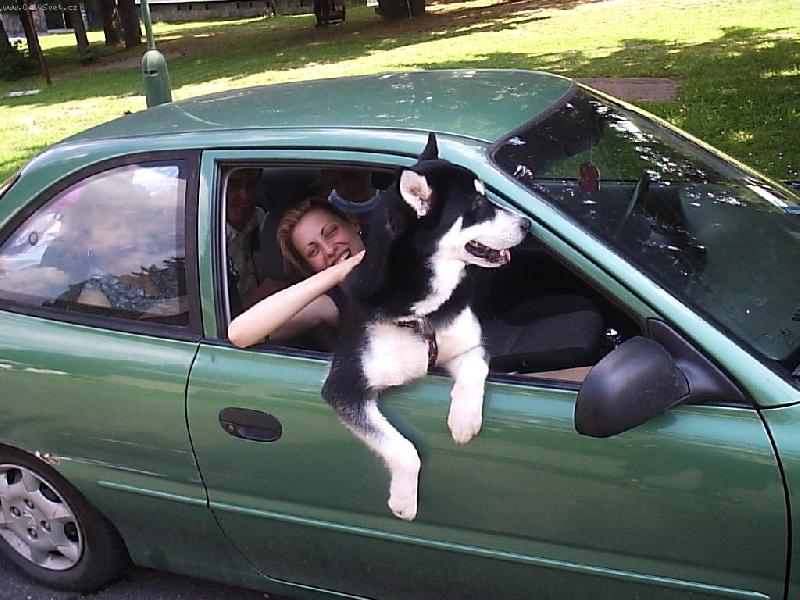 Foto: To mám ale super výhled-paničko,dýcháš ještě?