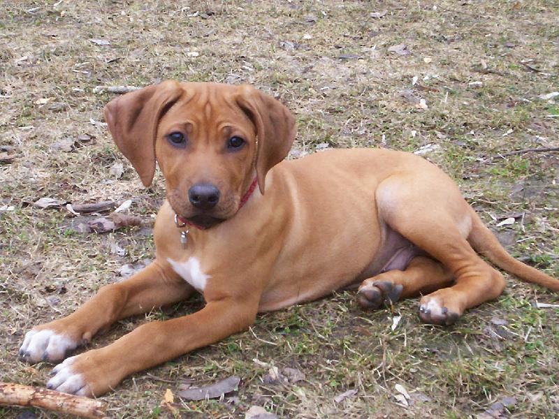 Foto: všechny zdraví malý Engu!!!-nazdárek