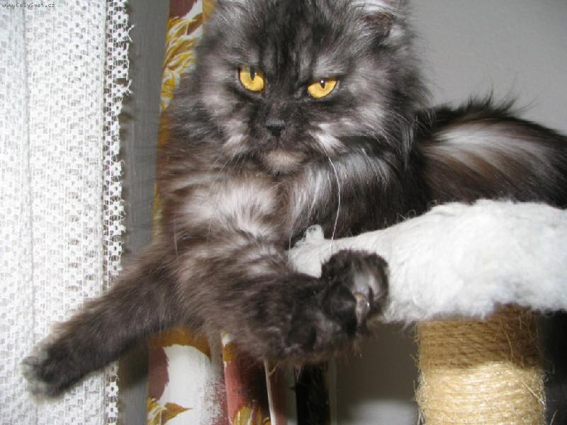 Foto: SÁRA-Ďábelský pohled