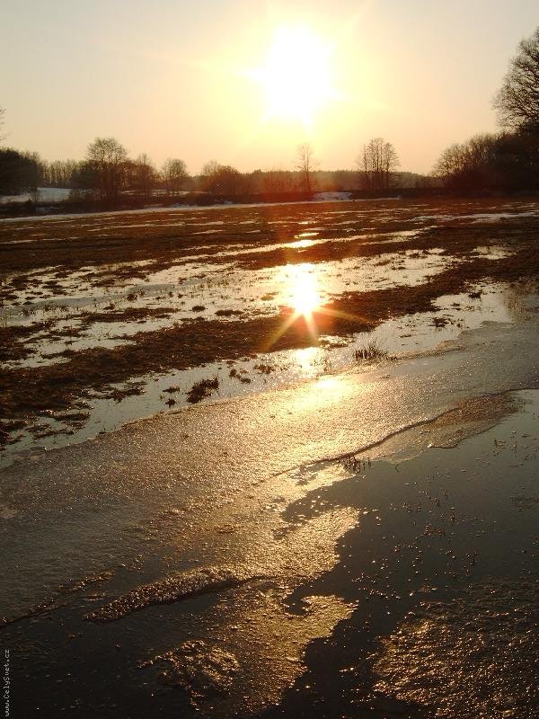 Foto: Příroda-jarní slunce