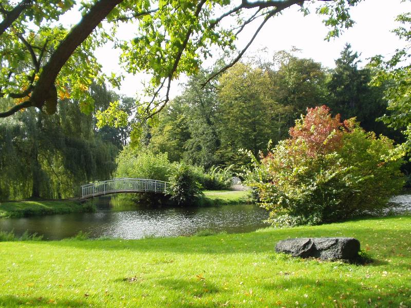 Foto: Překrásný prak-Park v přírodní rezervaci Schorfheide Chorin