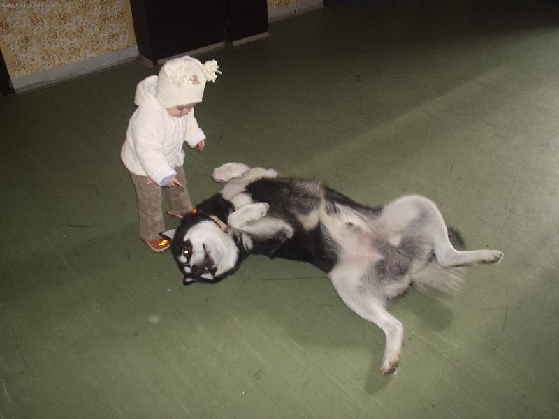 Foto: Poslouchat se musí,i prcky