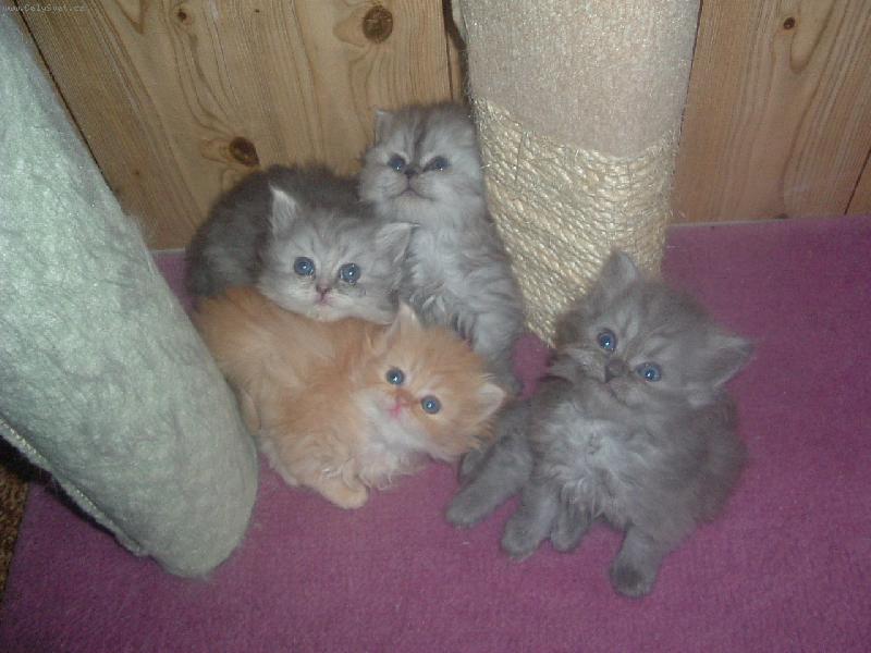 Foto: Úsměv prosííím :-)