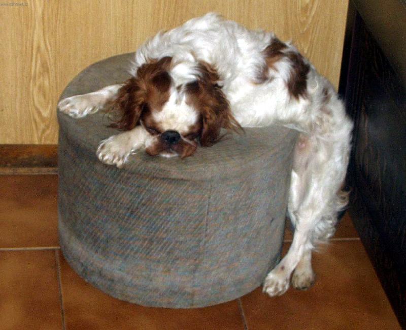 Foto: pohoda,klídek a leháro-I takto se dá usnout :)