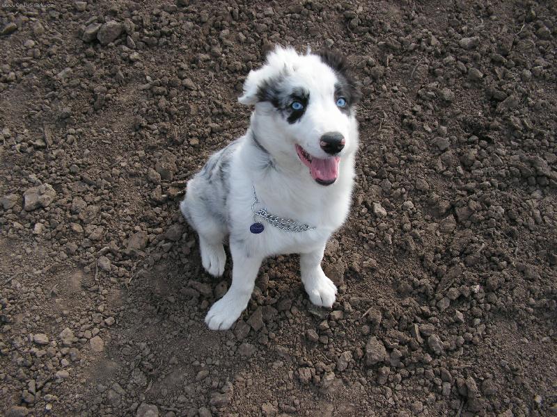 Foto: BAD-na procházce