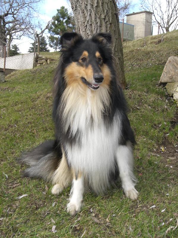 Foto: Ulvar black Vermiko-už je tu jaro