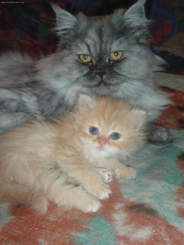 Foto: Taka s dcerkou-Tatínek nás má rád... :-)