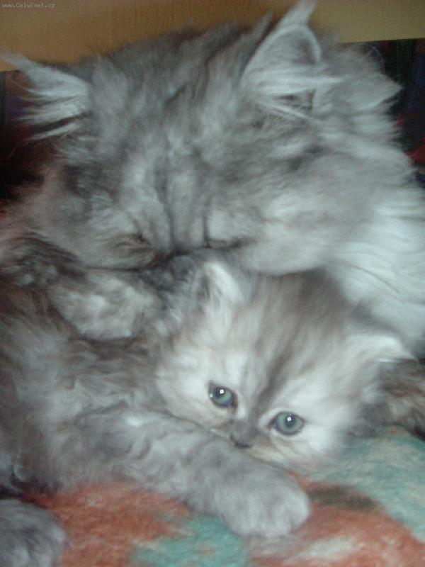 Foto: Taťka se synkem-Tatínek mi dává rady do života