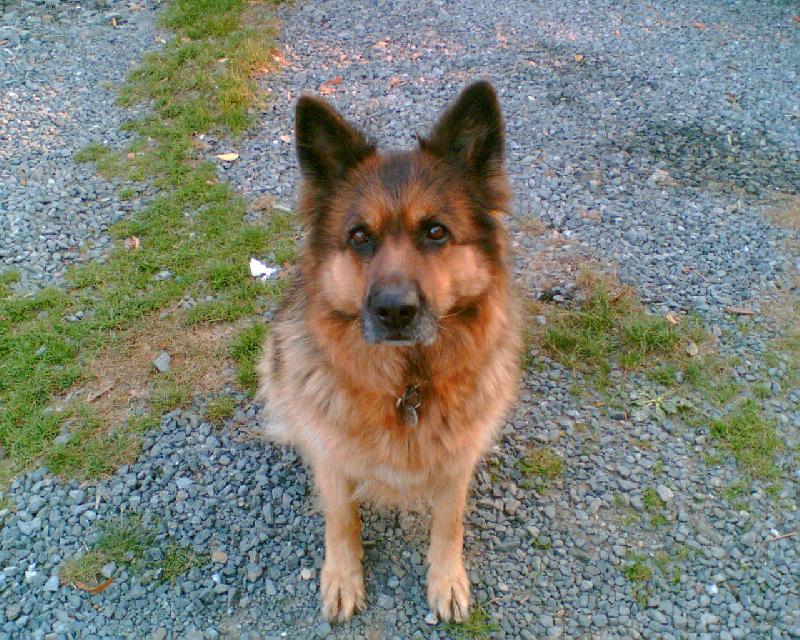 Foto: Bona-Bonuška-No není roztomilá?:-)