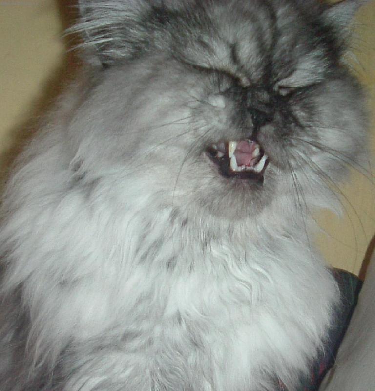 Foto: Denýšek-Řekli mi "úsměv" a tak jsem poslechl :-)