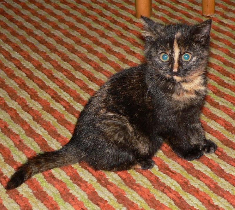 Foto: Fily-Jo,to jsem já ...