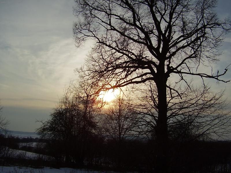 Foto: Krása Dolnobousovska