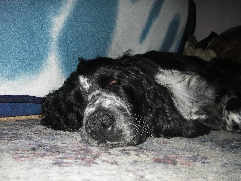 Foto: Arči uplne mimo-dneska měl už toho dost