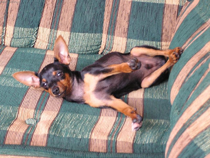 Foto: ROKY-Roky leží