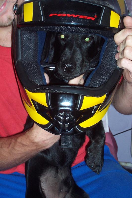 Foto: Jezdec-Bohoušek