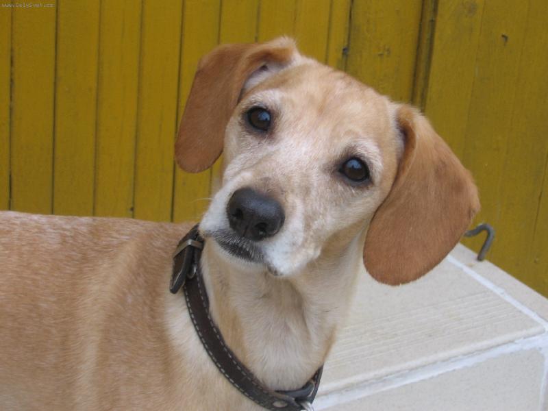 Foto: Naše štěstíčko-To sem ale fotogenní,co??