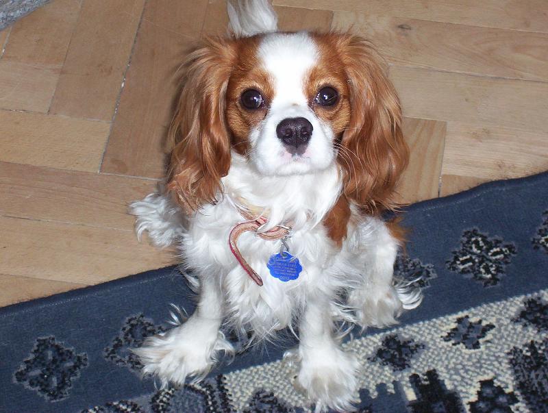 Foto: Sherry-Líbim se ti?