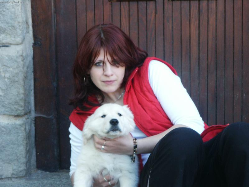 Foto: Která je hezčí?-Zlaáček