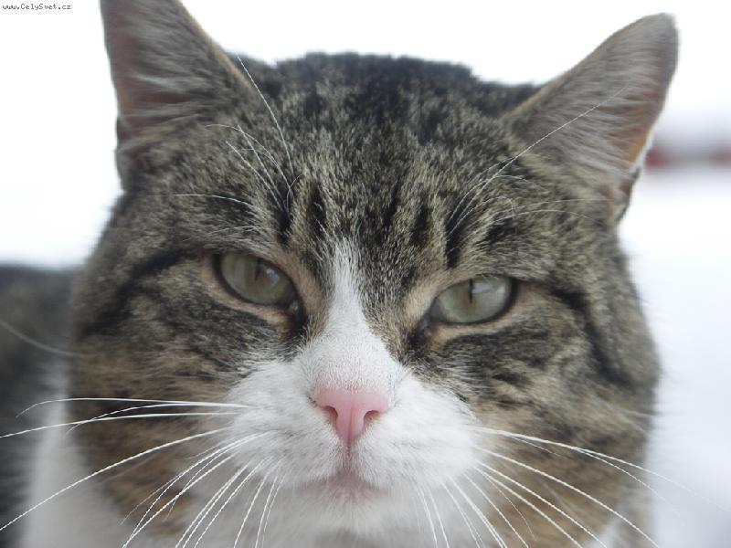 Foto: To jsem, ale fešak?