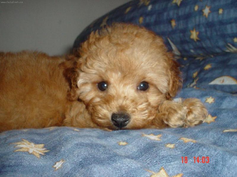 Foto: Sárinka-Není krásná???