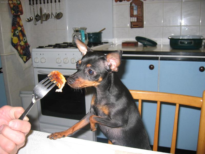 Foto: Matylda: Dobro chuť...