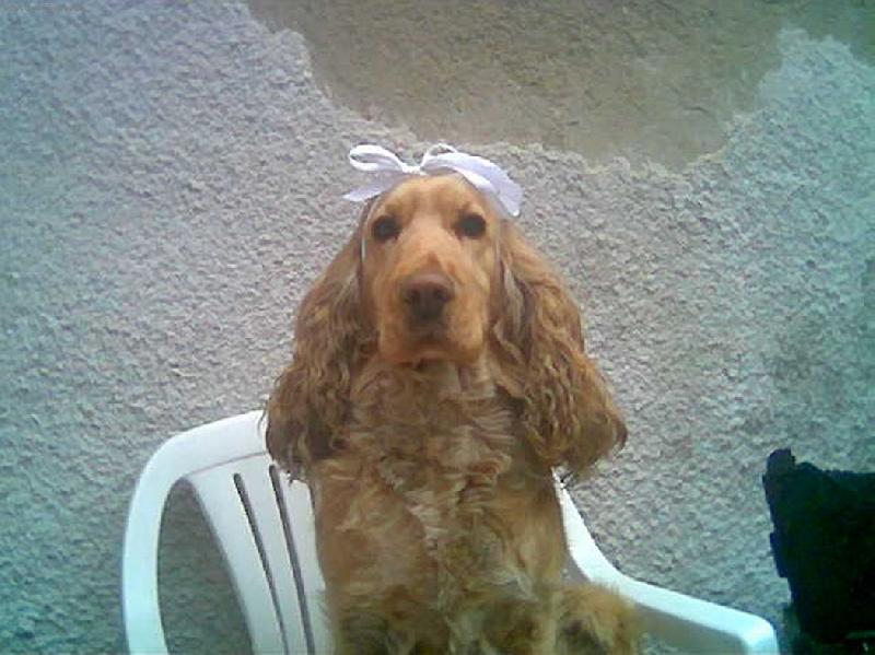 Foto: Besulinka-:-) še štydim