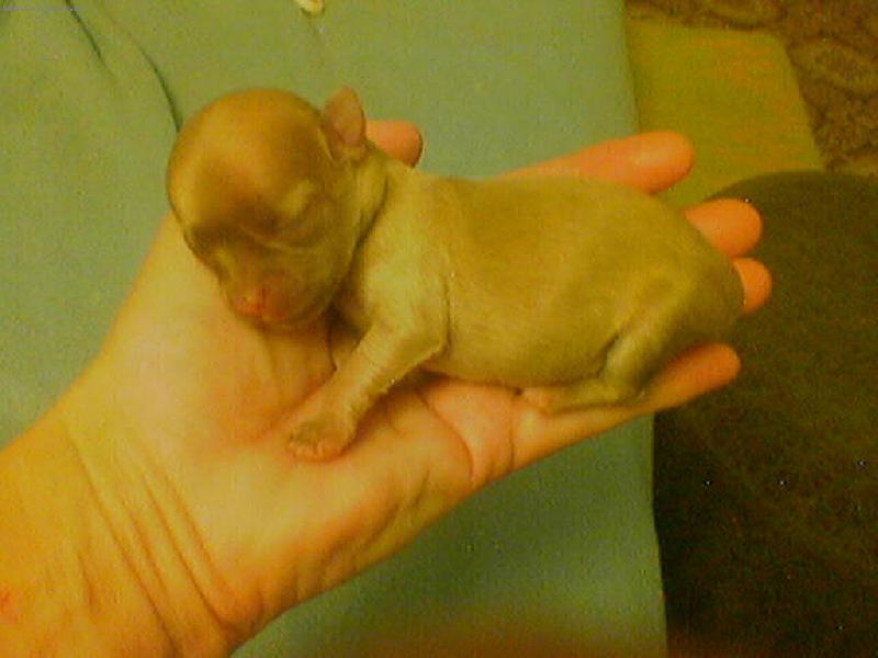 Foto: štěstí se vejde do dlaně