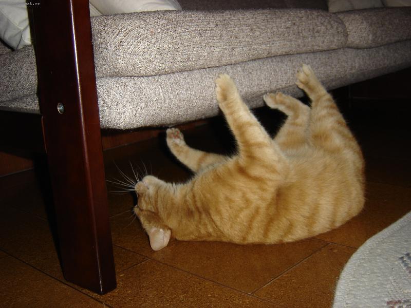 Foto: hlavní uklízeč Kuba-vytírání podlahy