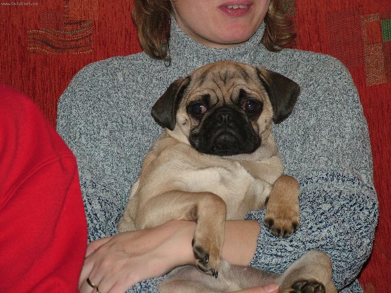 Foto: Arčí-tady má 4 měsíců