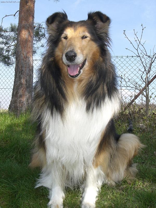 Foto: Beky-14.4. 2006