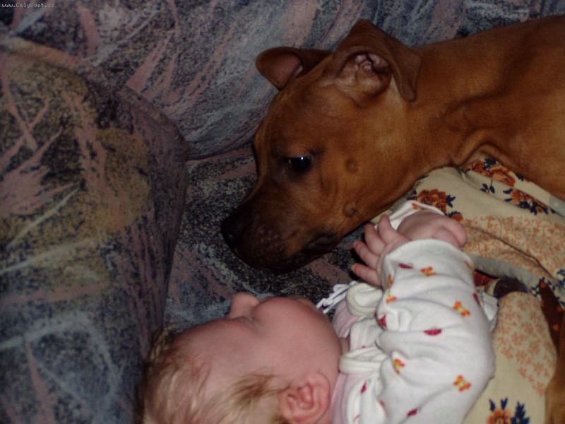 Foto: Po ránu-Naši miláčkové při odpočinku