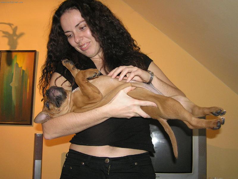 Foto: Chovám se moc rád-Čtyřměsíční Rocky