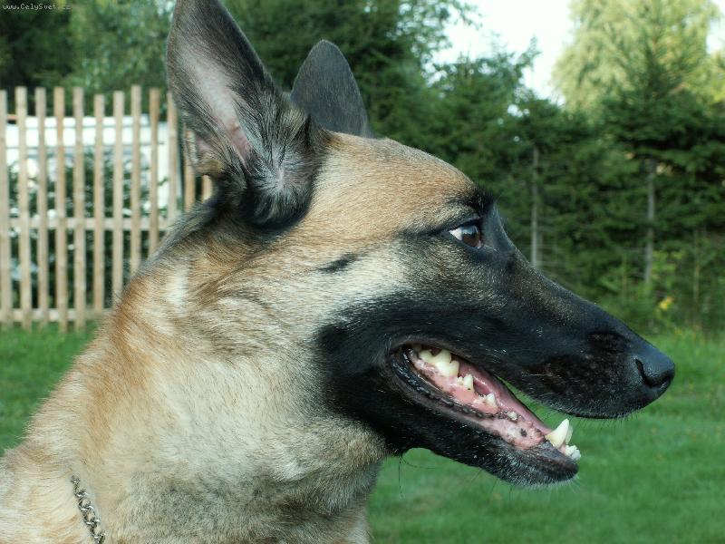 Foto: Daisy-portrét