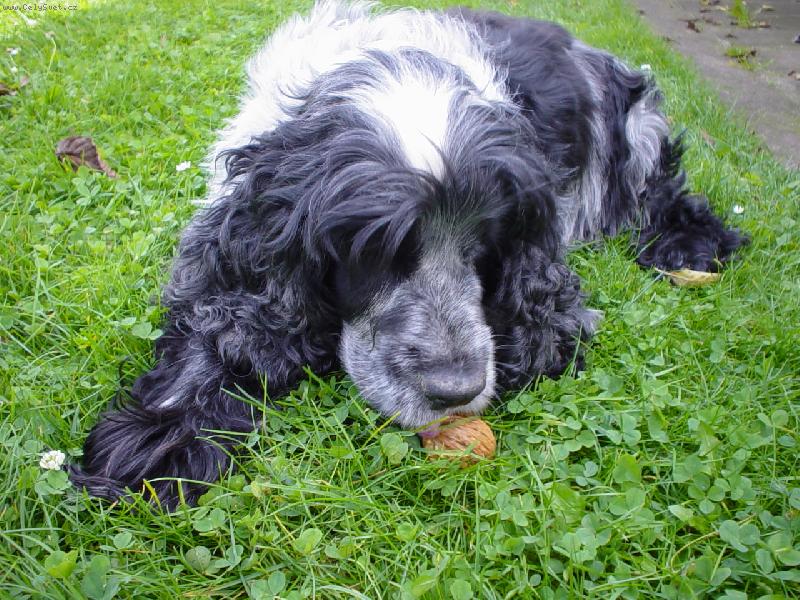 Foto: Doník-můj nejlepší kamarád :'(