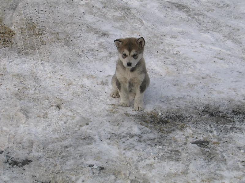 Foto: kuk na ten svět