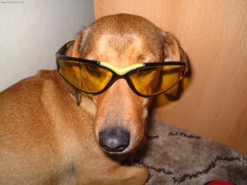 Foto: brýle proti slunci