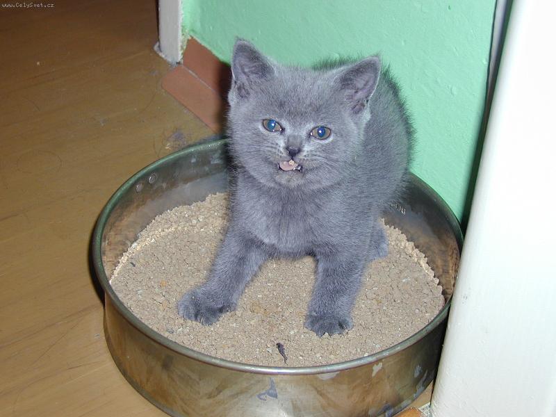 Foto: Nellynka-Nellynka se umí zlobit!