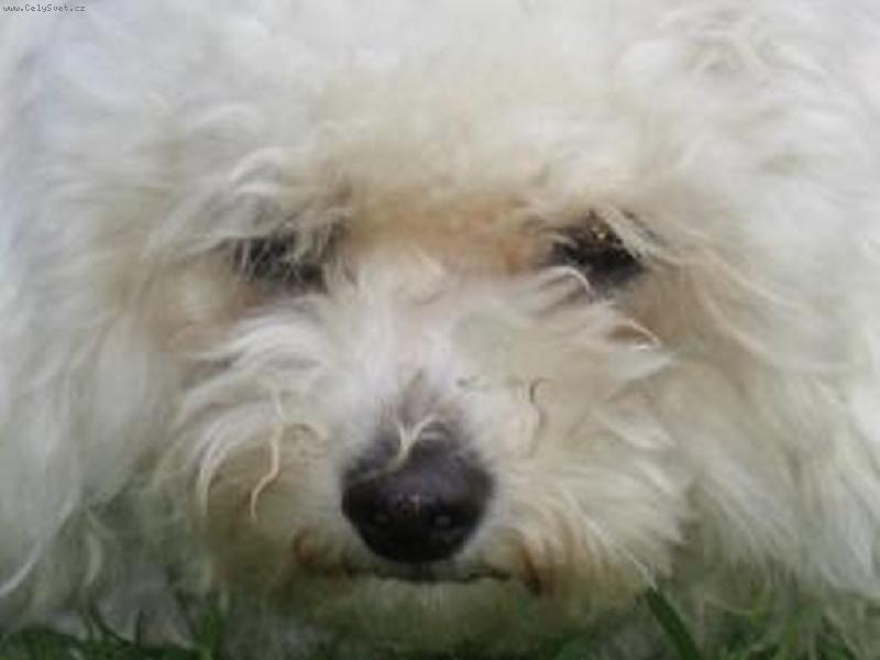 Foto: Jen tak kouk�m-Bibiana