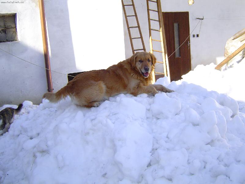 Foto: Clark-Už jsem nahoře!!!