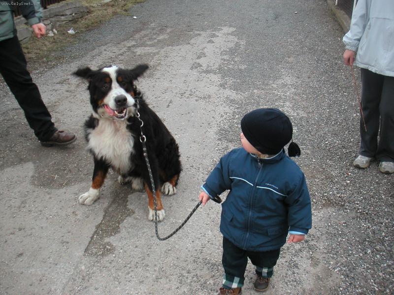 Foto: Bernášek-Netopýr