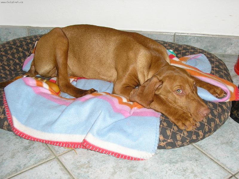 Foto: Po náročném výletě zasloužený odpočinek :o)