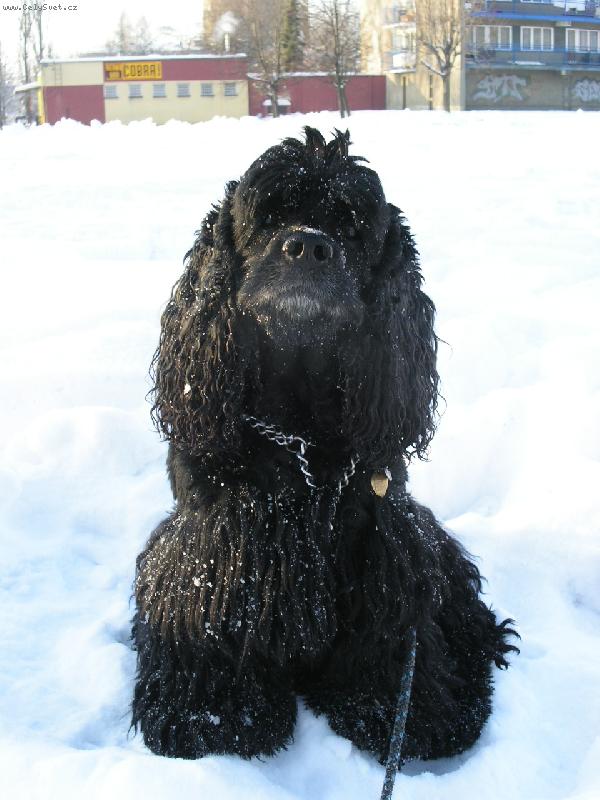 Foto: náš miláček