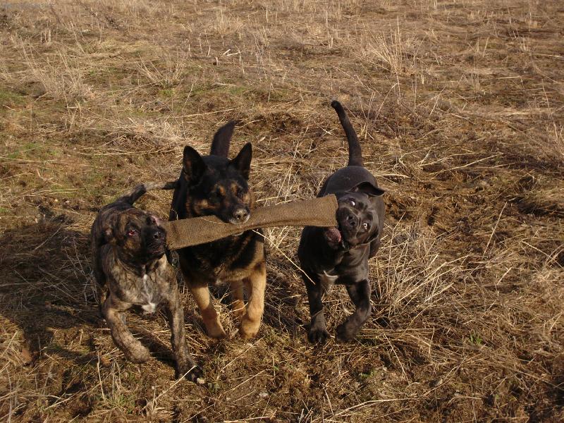 Foto: Marcus,Deny,Monty