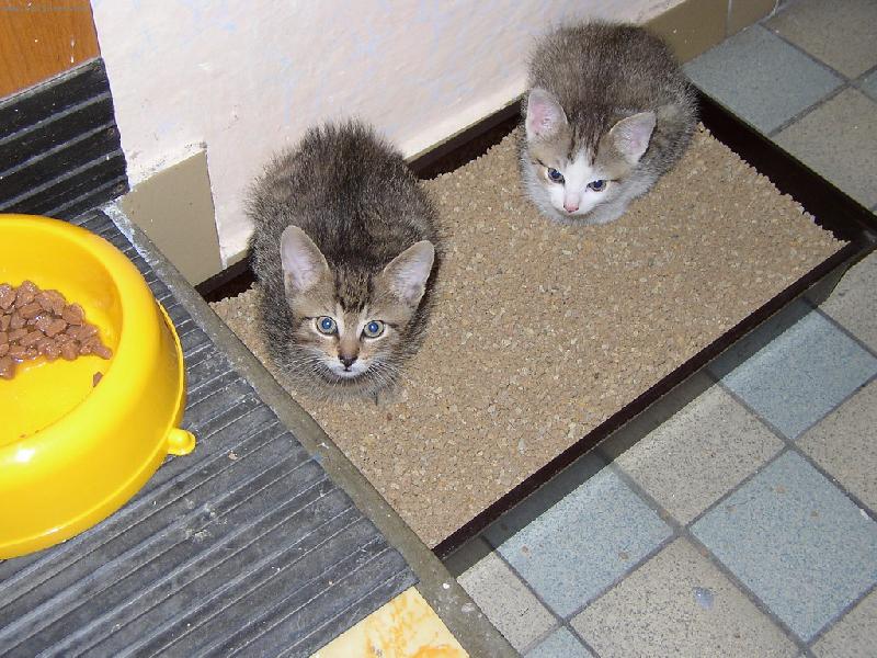 Foto: KUK-My tady jen tak sedíme...:-D