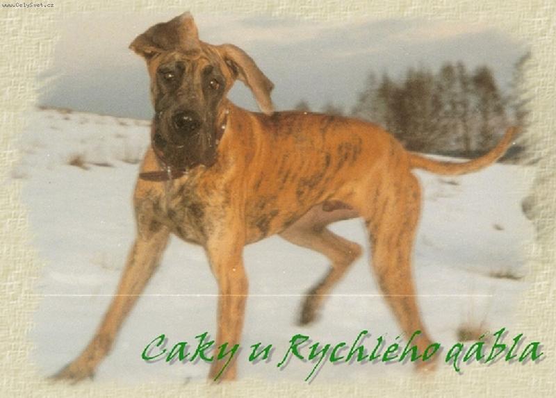 Foto: Caky u Rychlého ďábla