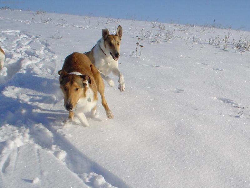 Foto: honička-není nic lepšího, než se pěkně proběhnout :o)