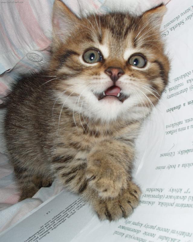 Foto: Happy-jéé...tak to je průser!!